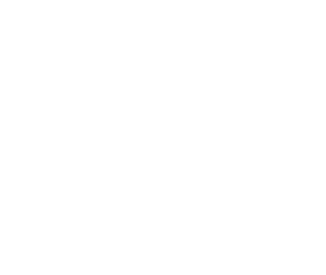 BRUNO-MARQUES-LOGO-WHITE